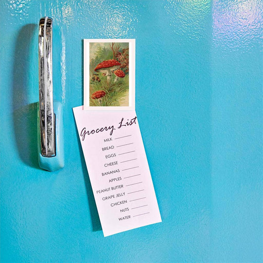 Magnet PL-78 Amanita Muscaria Mushroom