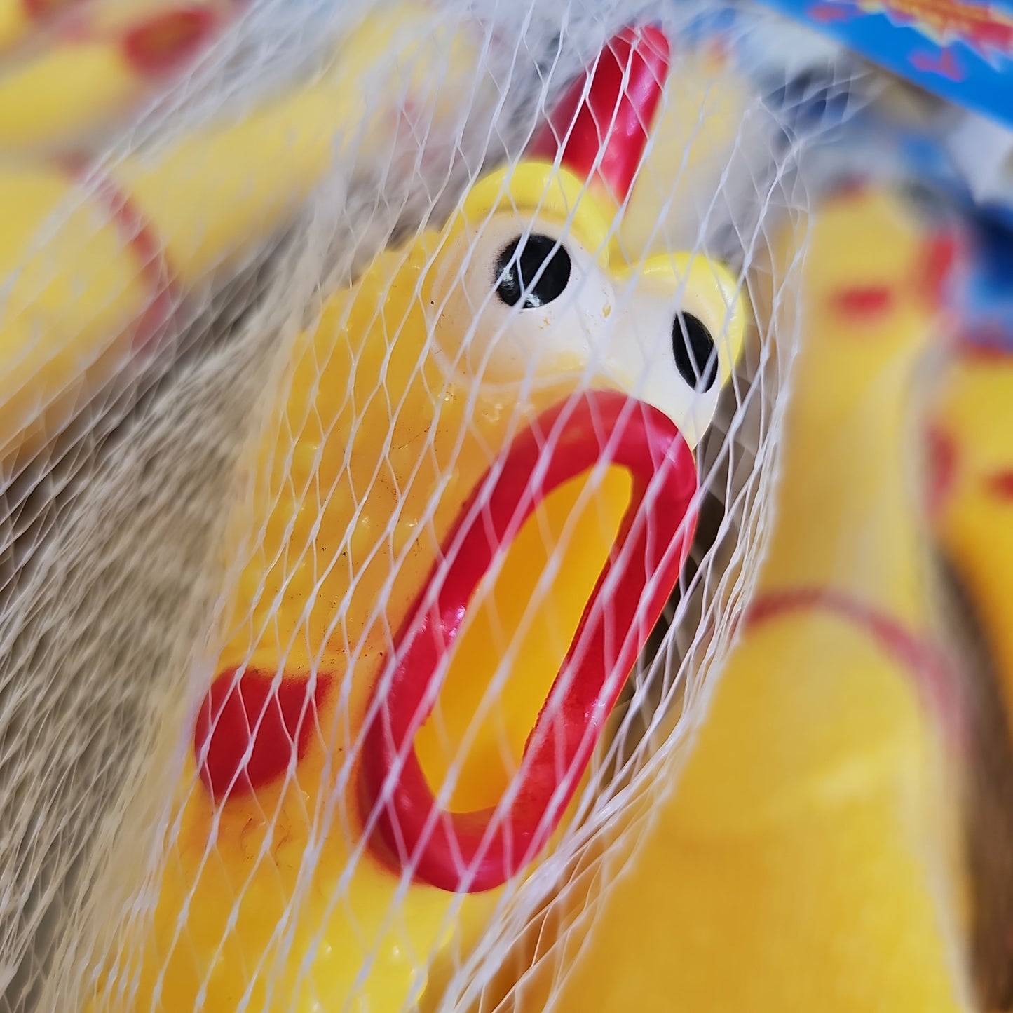 Shrilling Chicken
