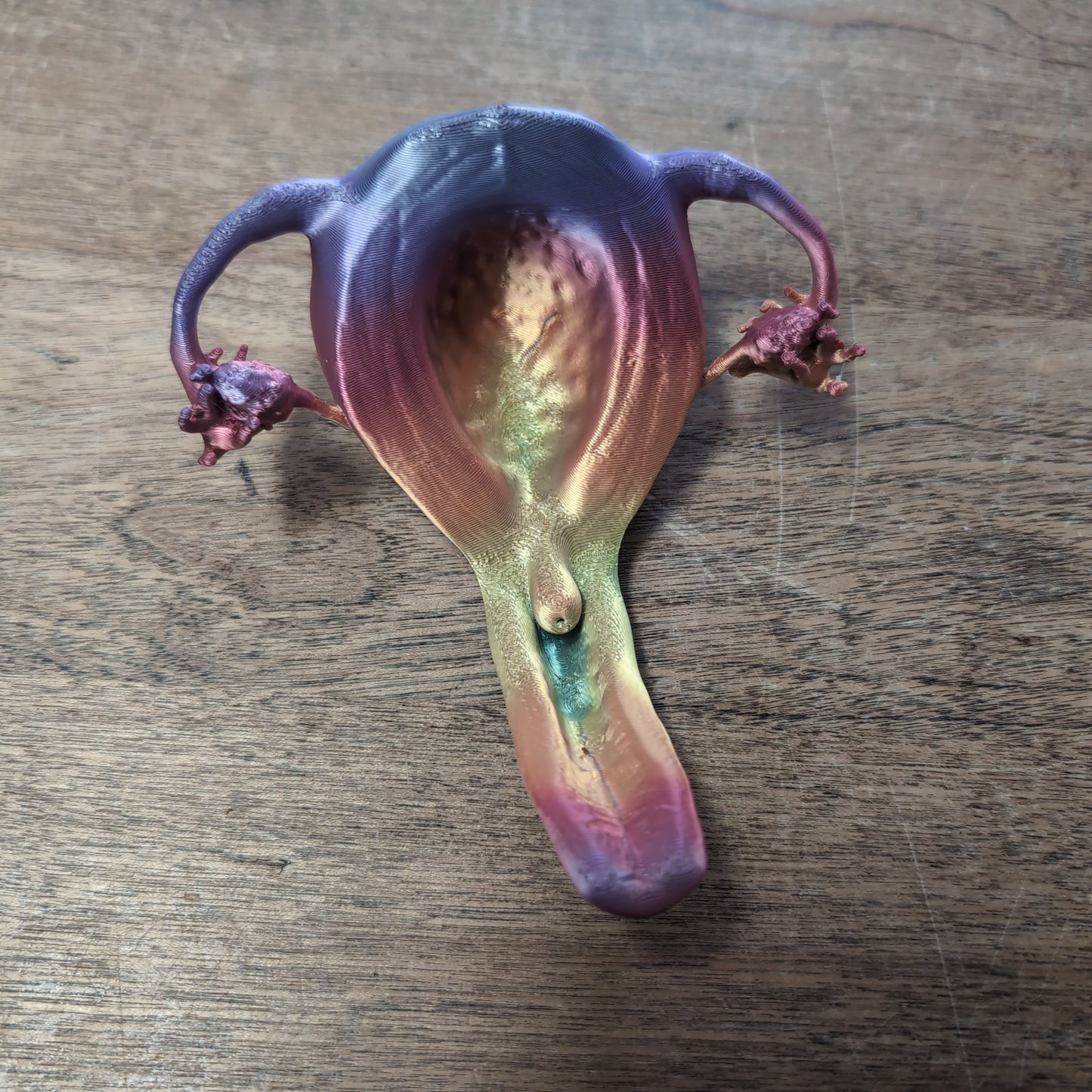 In-house 3D Print Anatomical Models