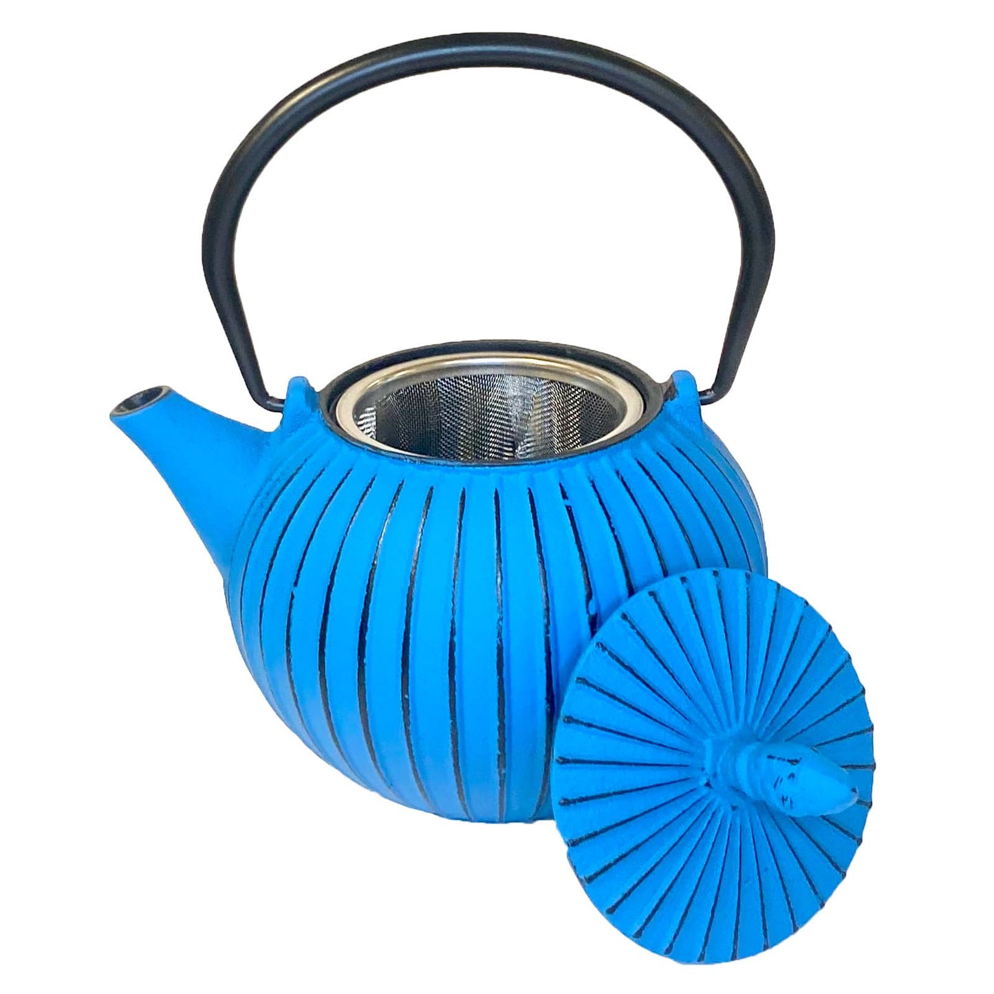 Cast Iron Tea Pot, Sky, 29 oz
