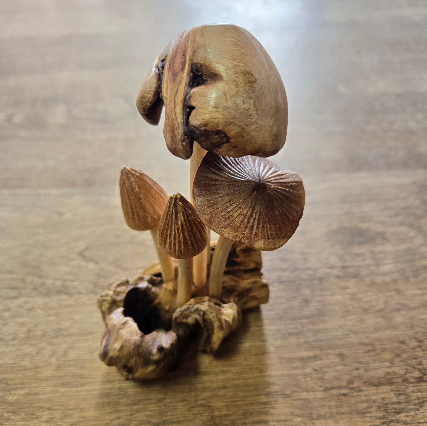 Wooden Mushrooms on Driftwood