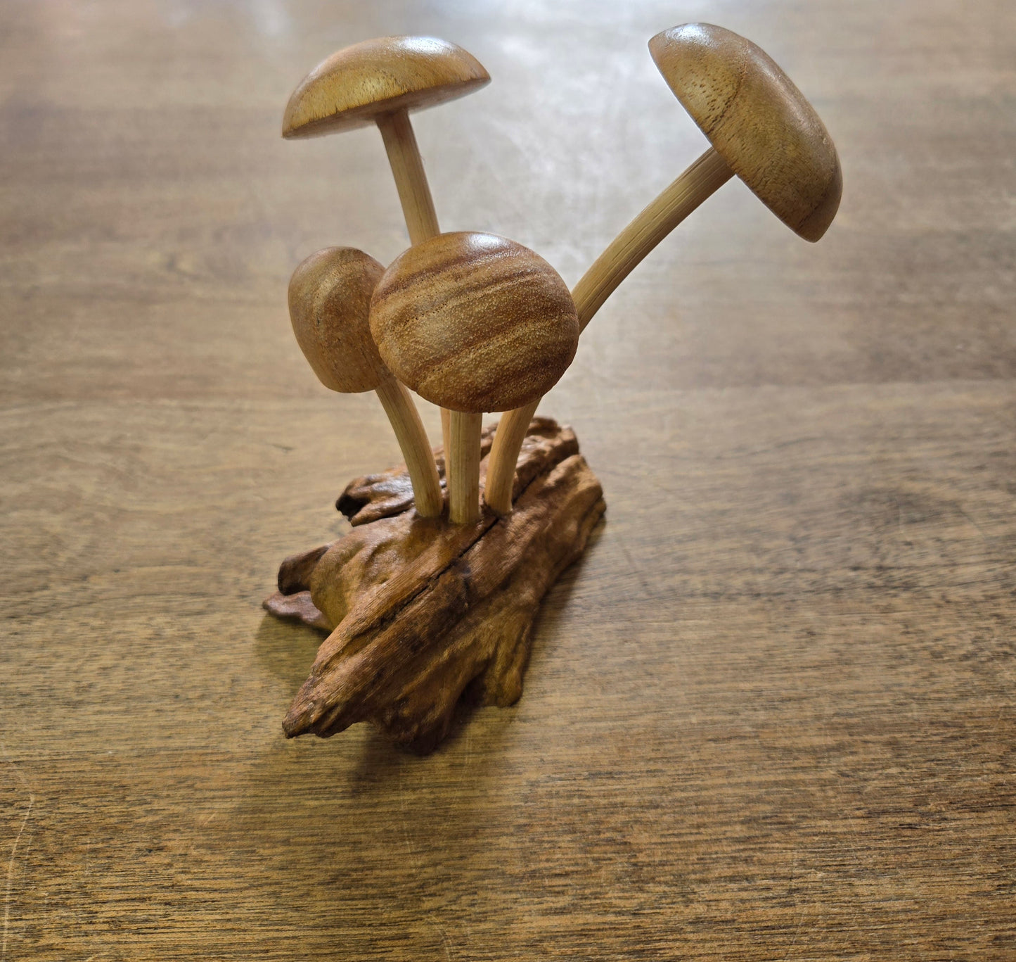 Wooden Mushrooms on Driftwood