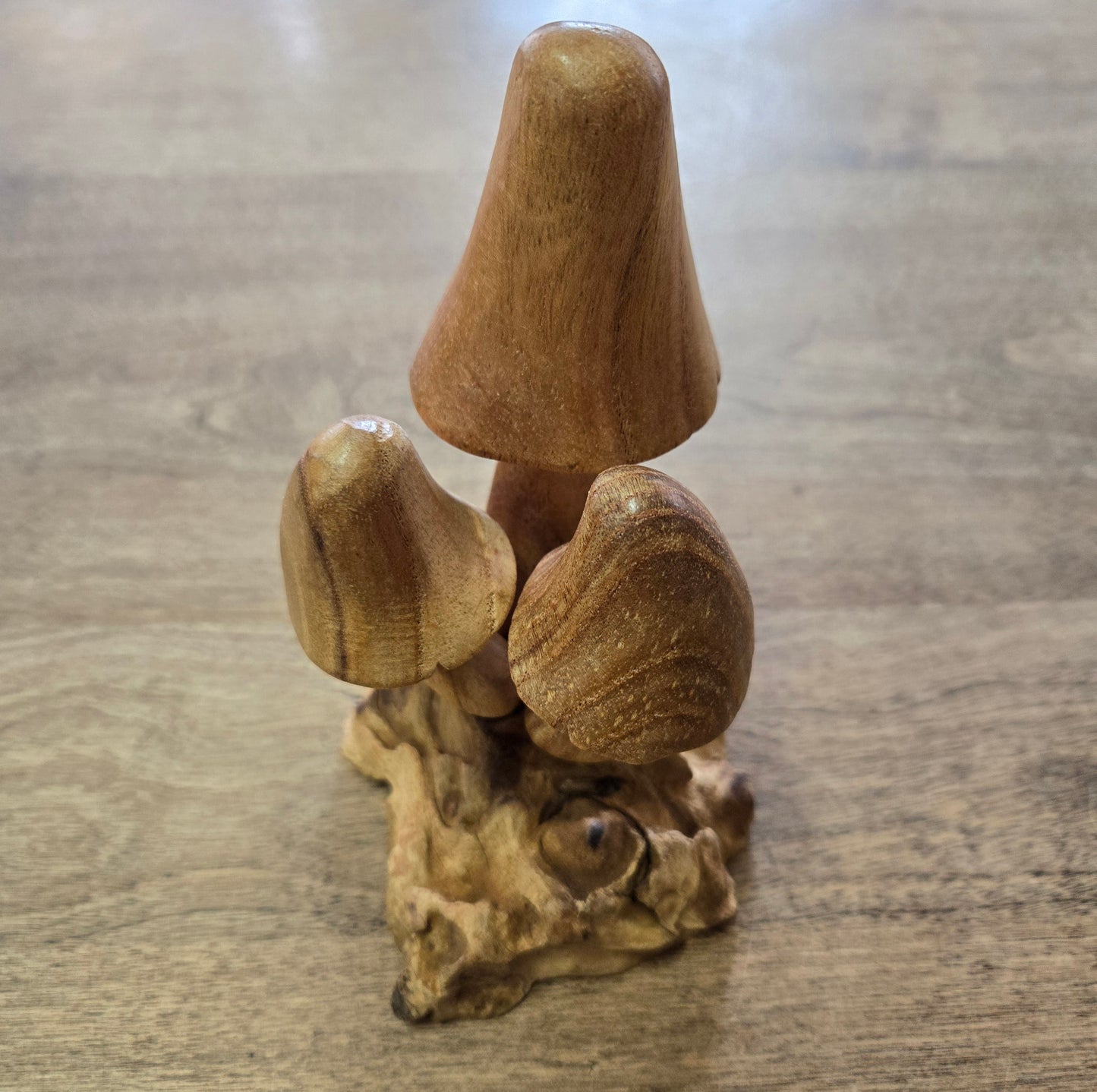 Wooden Mushrooms on Driftwood