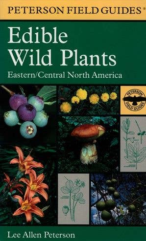 Peterson Field Guide to Edible Wild Plants, A: Lee Allen