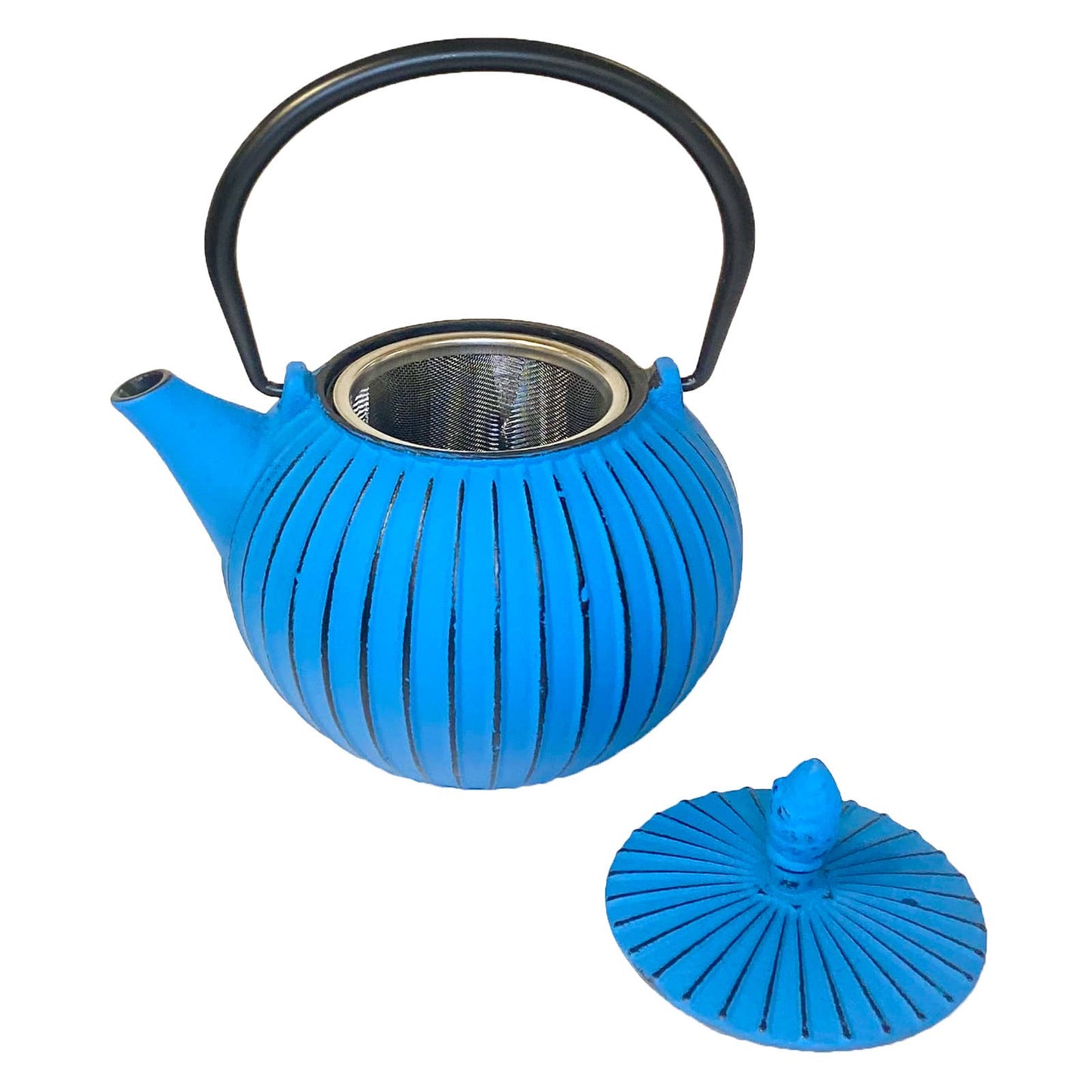 Cast Iron Tea Pot, Sky, 29 oz
