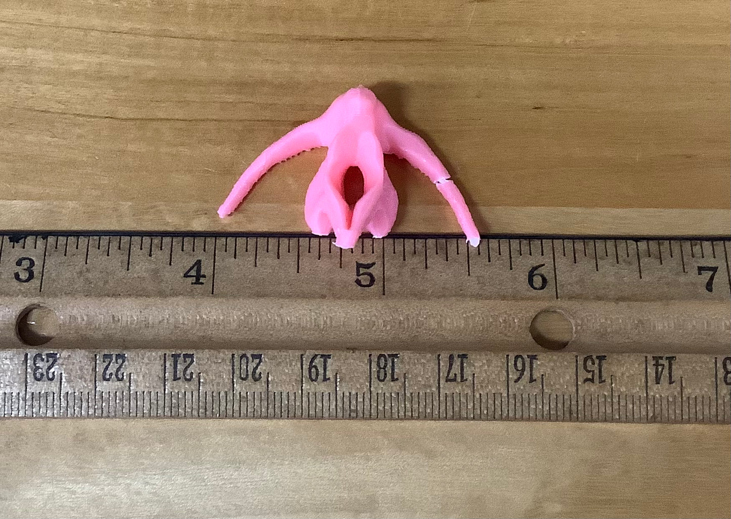 In House 3d Prints