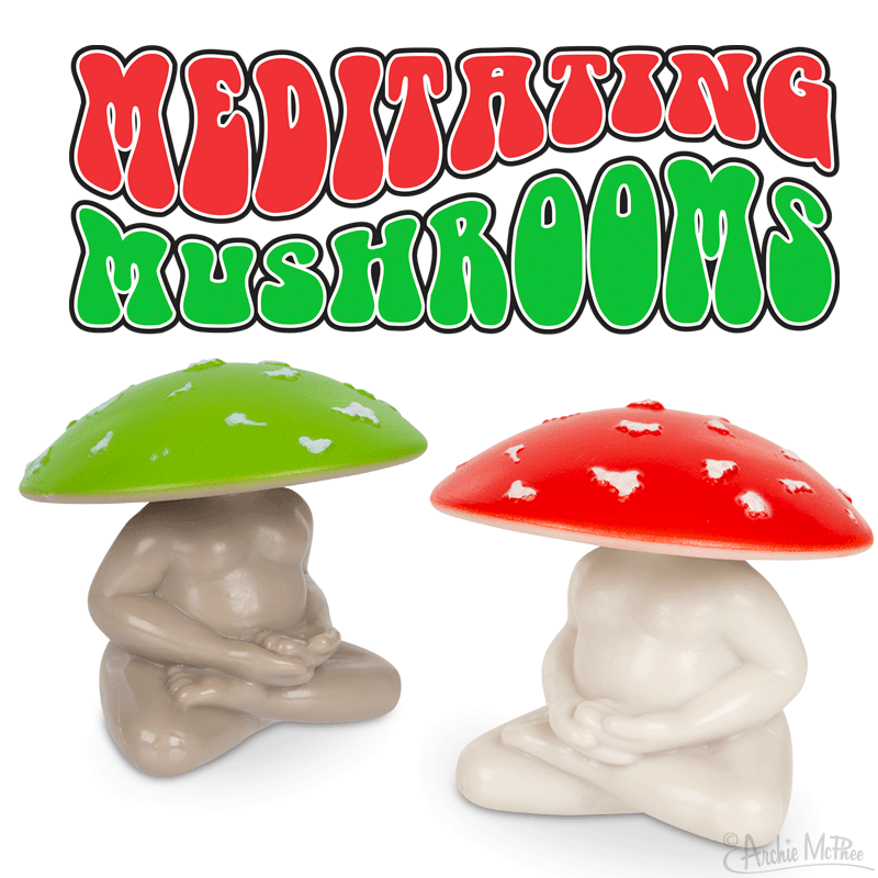 Meditating Mushrooms