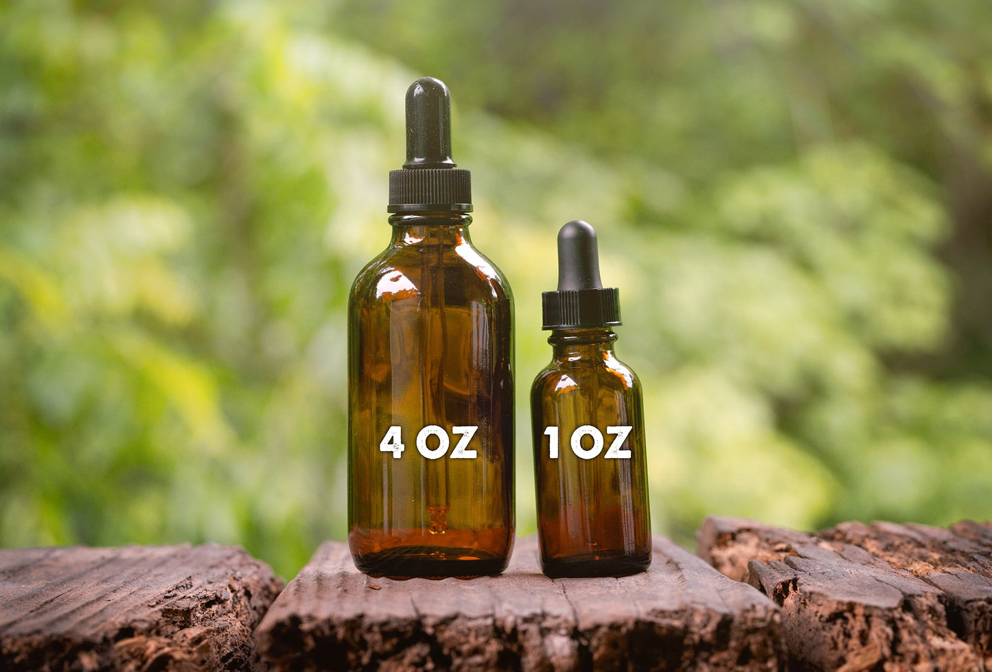 Mushroom Immunity Extract - Potent Blend for Immune System Support, General Wellness