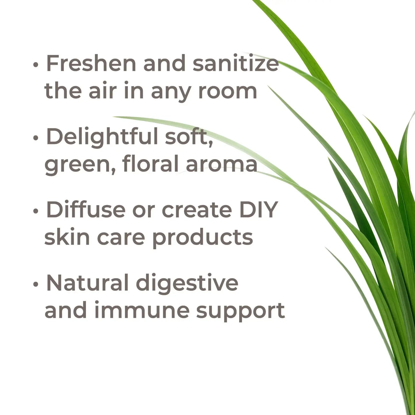 Palmarosa Essential Oil 10 mL