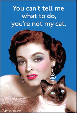 MAGNET: You can't tell me what to do, you're not my cat.