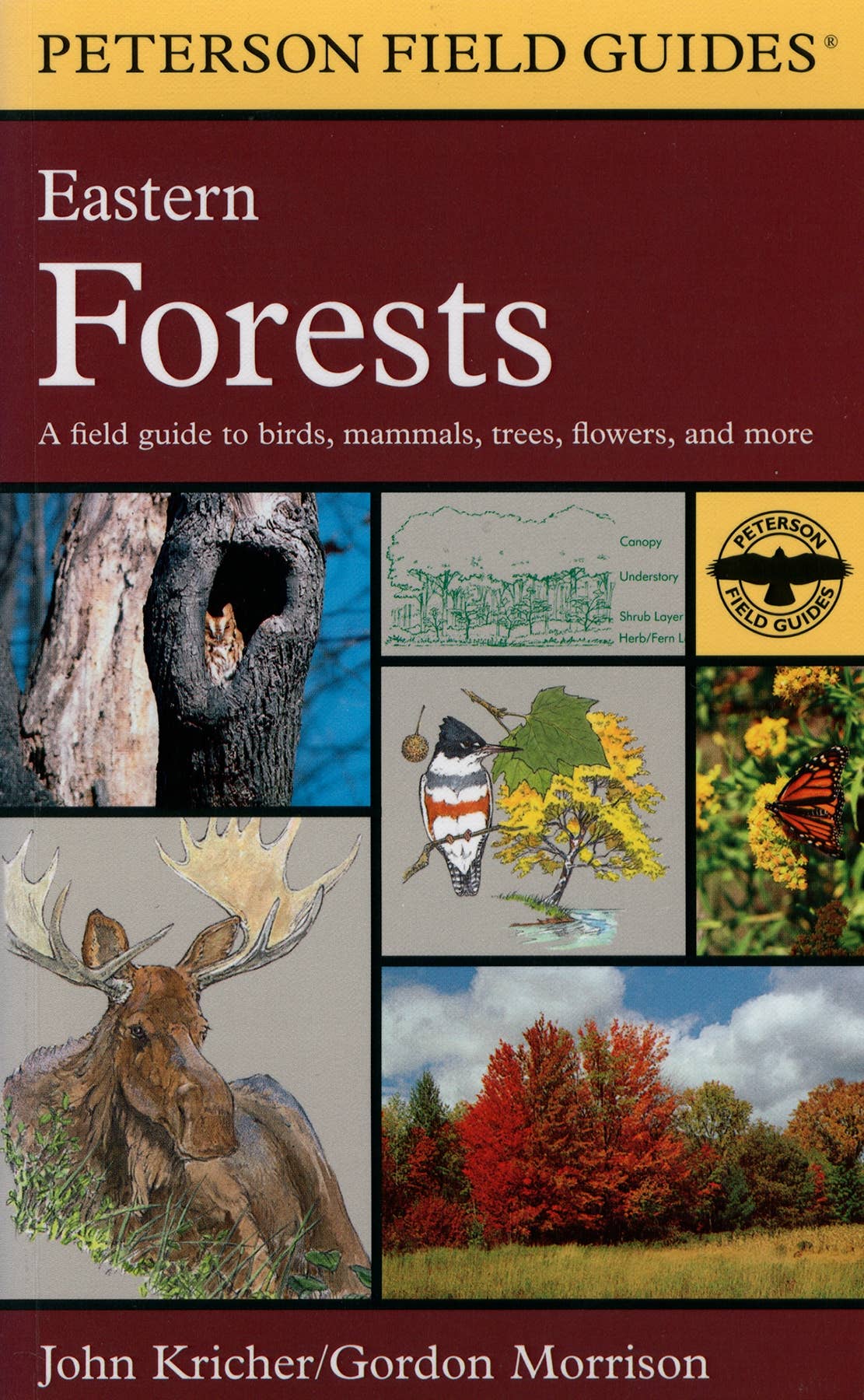 Peterson Field Guide to Eastern Forests, A: John Kricher