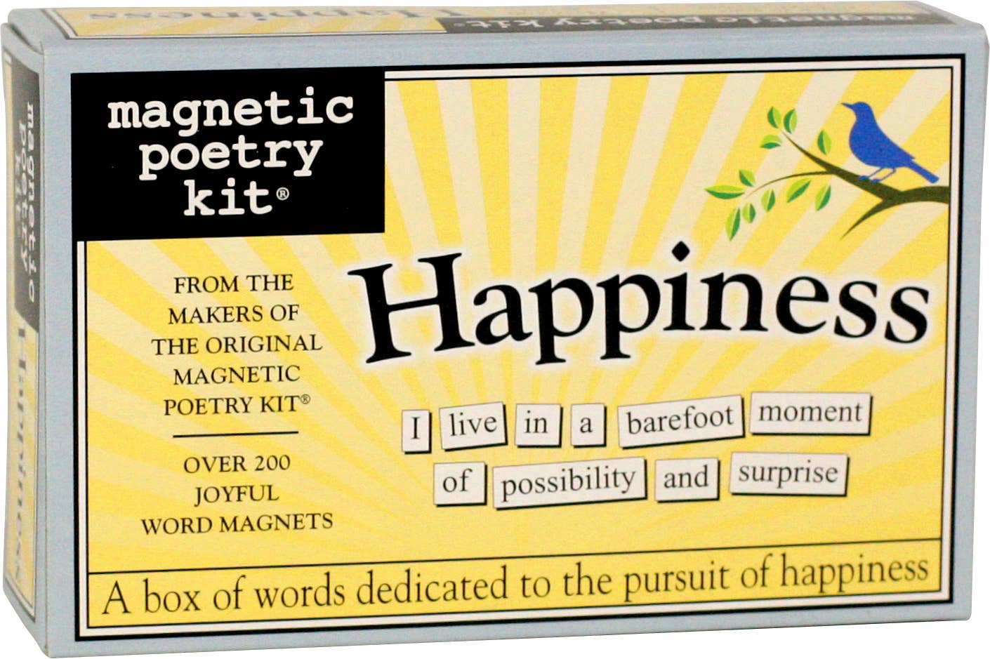 Happiness Magnetic Poetry Kit