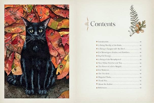 Cat Magick
