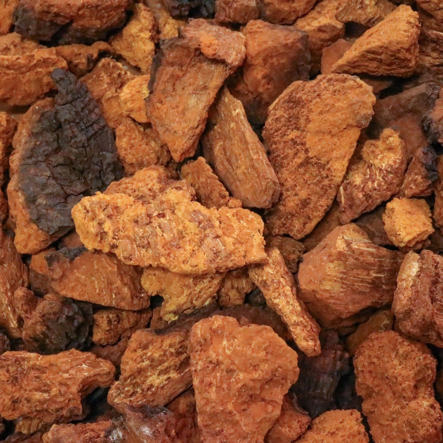 Chaga Mushroom Chunks Organic