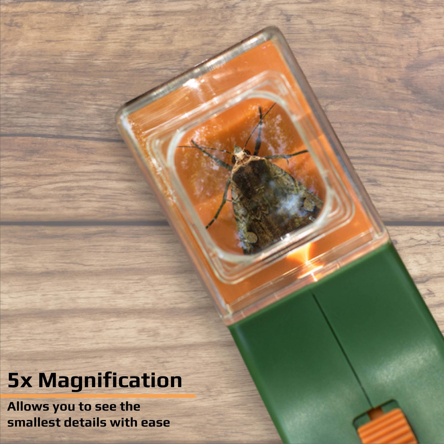BugView 5x Magnifier Quick-Release Bug Catching Toy for Kids