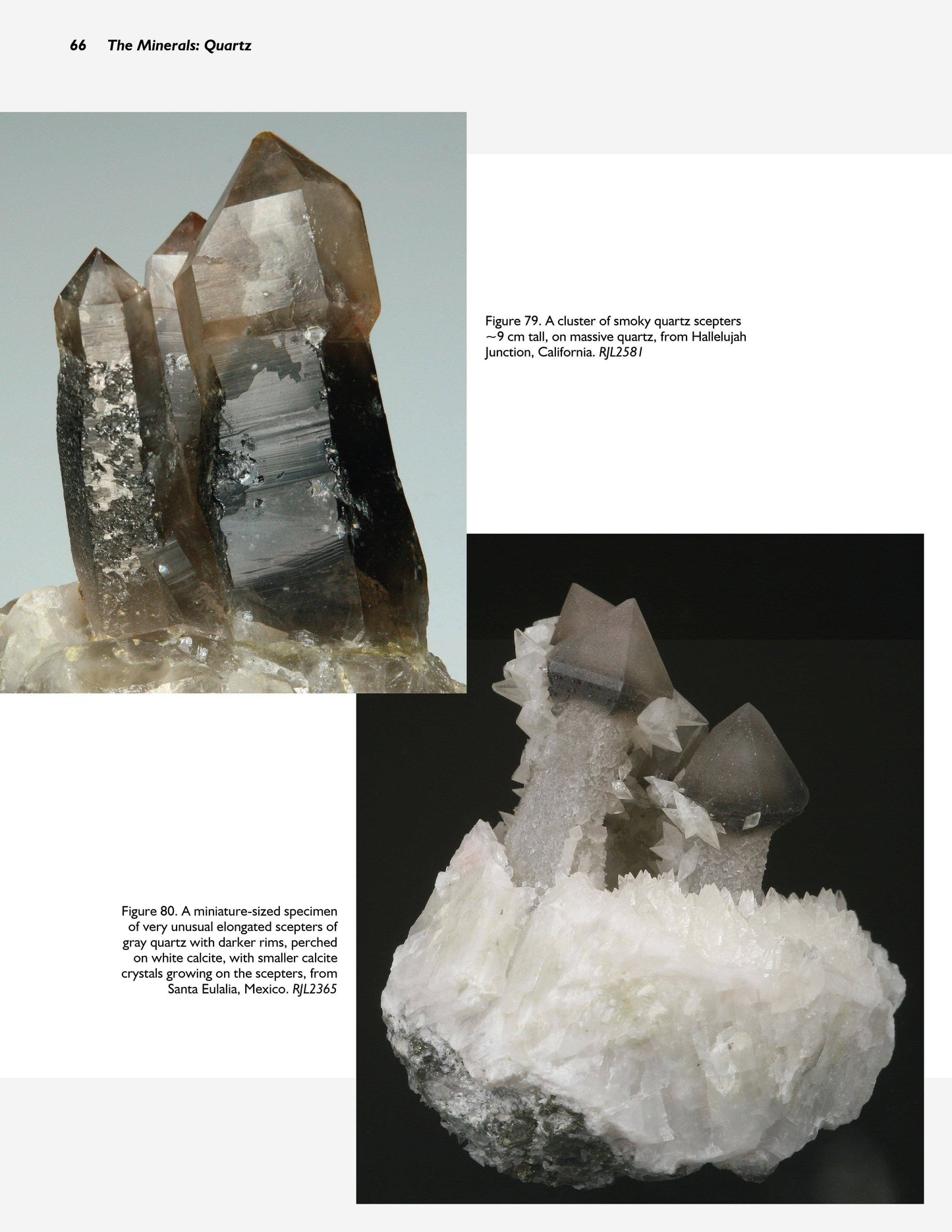 Collector's Guide to Quartz and Other Silica Minerals