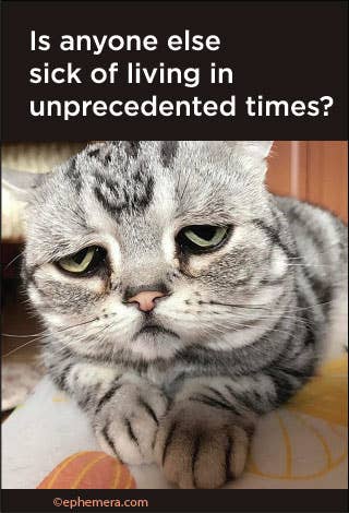 MAGNET: Is anyone else sick of living