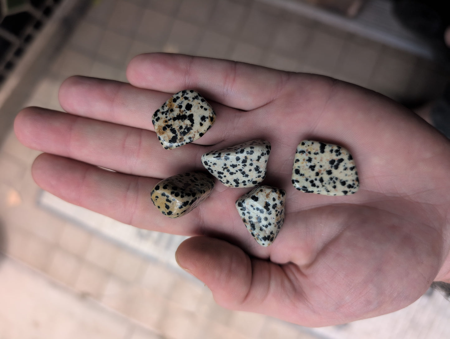 Dalmatian Jasper Tumbled