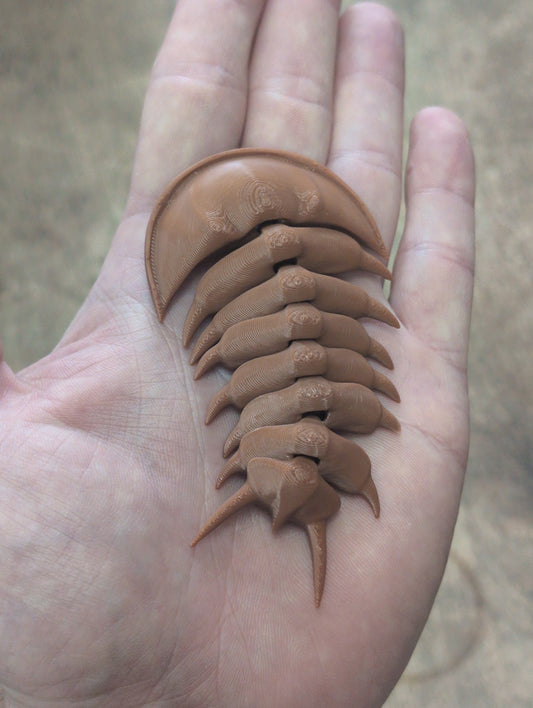 3D Printed Trilobite