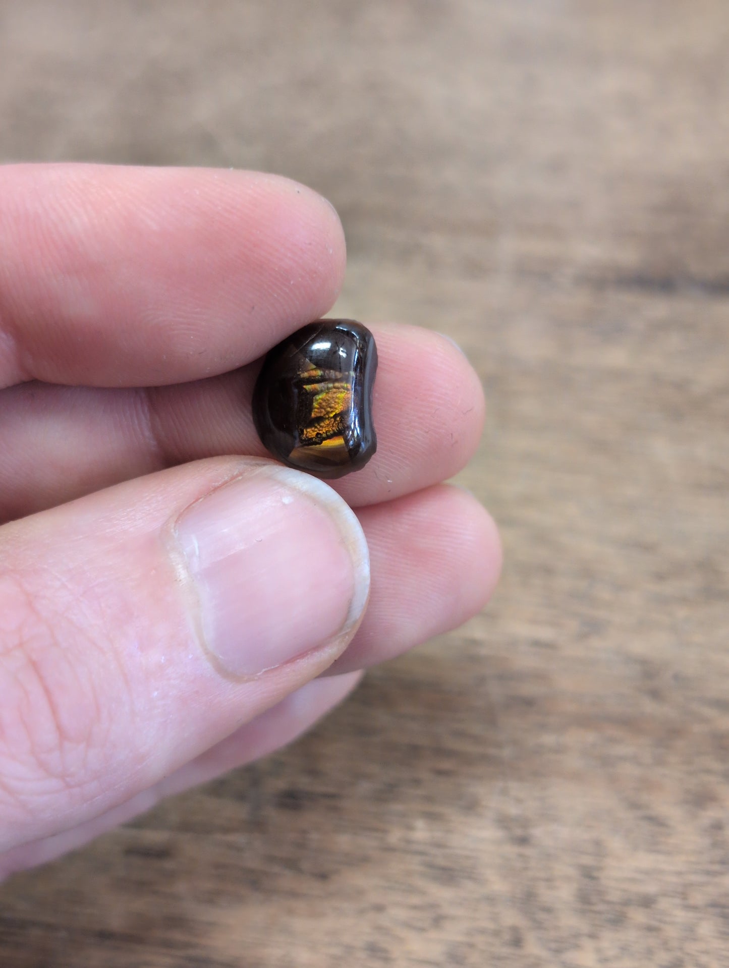 Mexican Fire Agate Free Form Cabochon