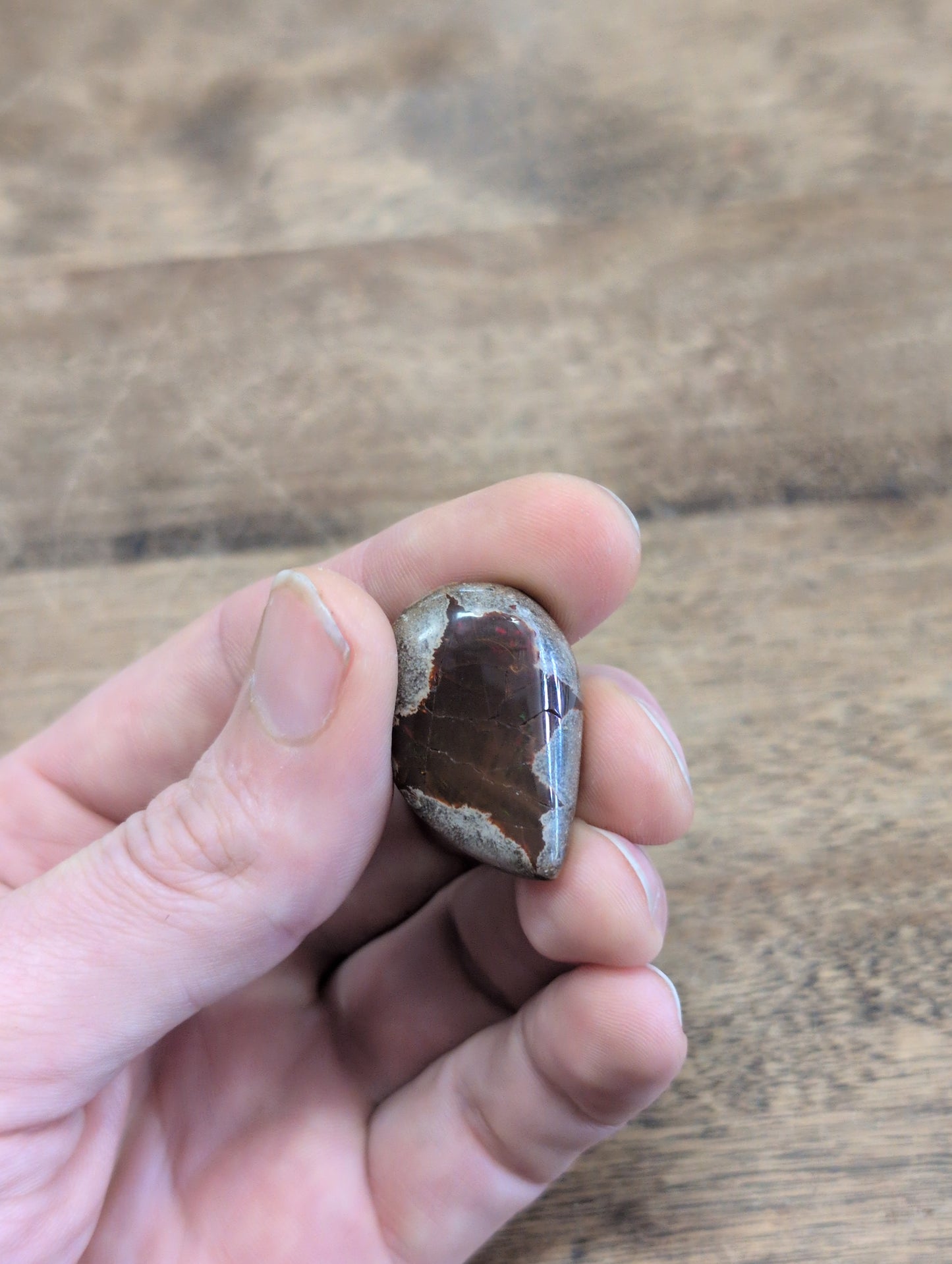 Chocolate Opal Ethiopian Mezezo Shewa Nodule