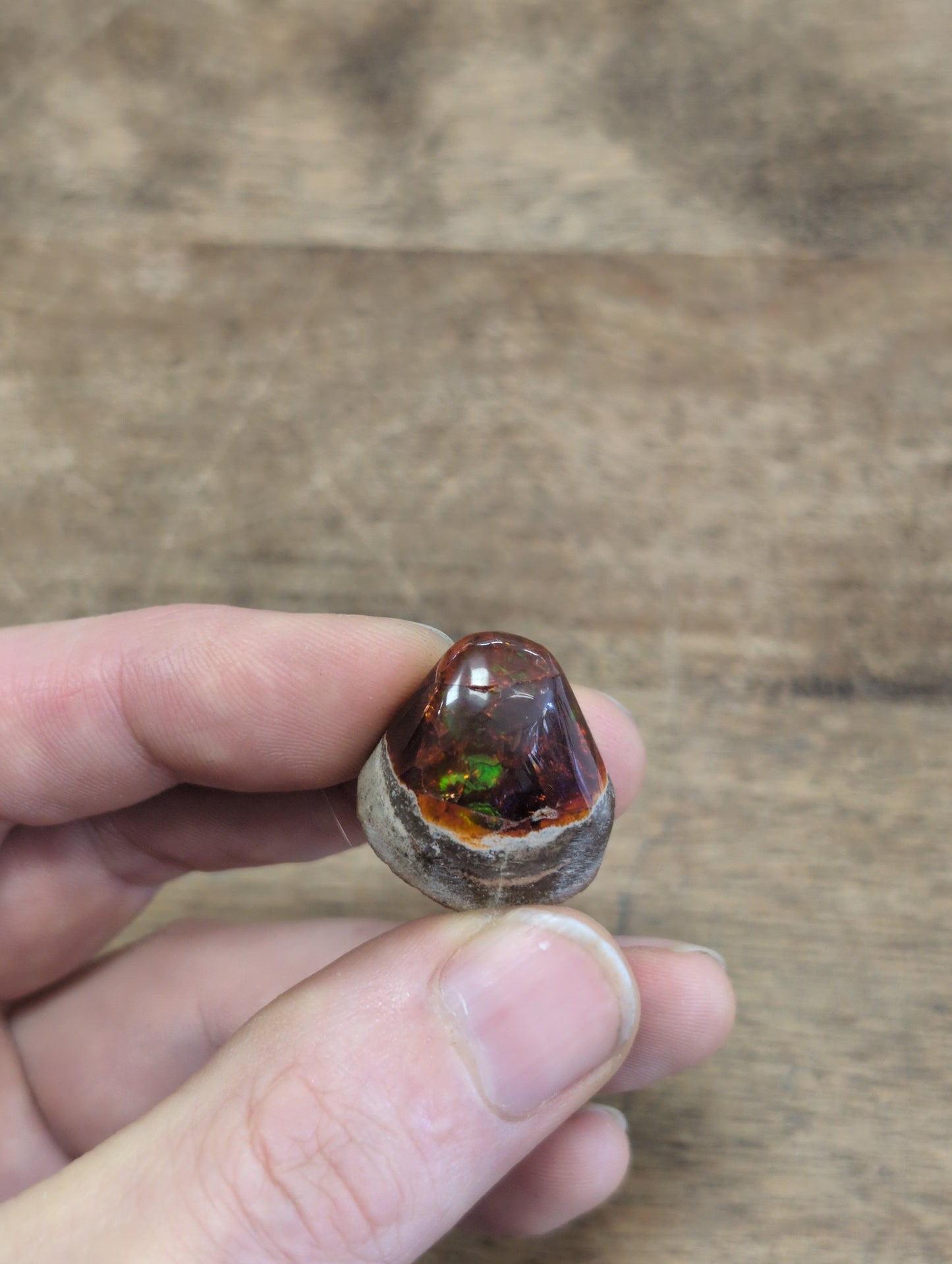 Chocolate Opal Ethiopian Mezezo Shewa Nodule