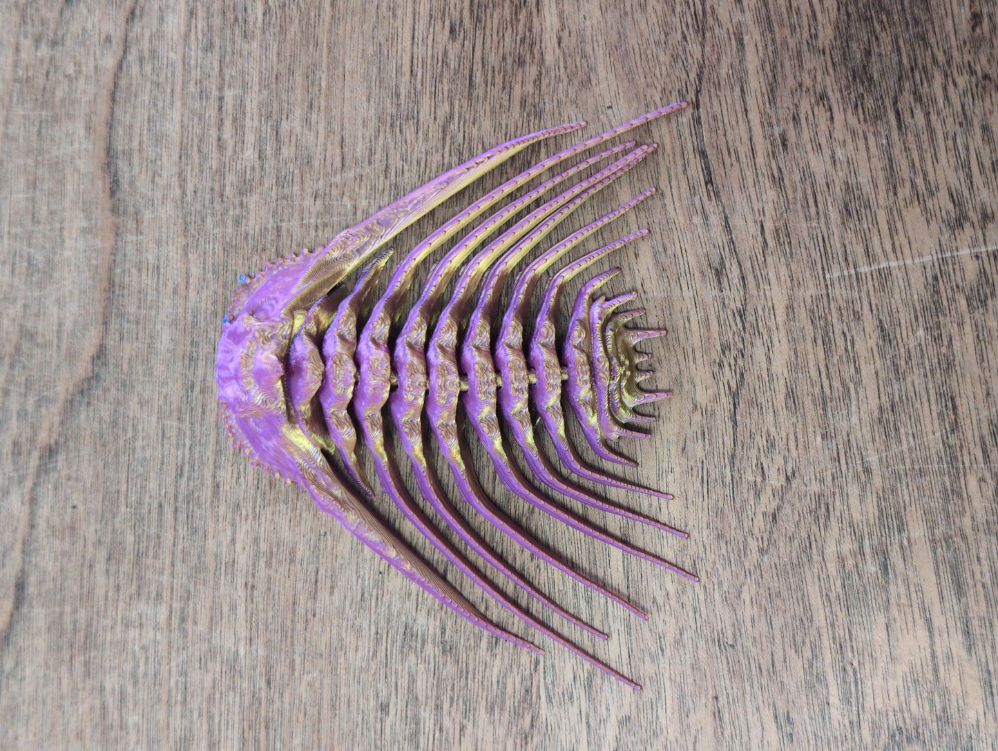 3D Printed Trilobite