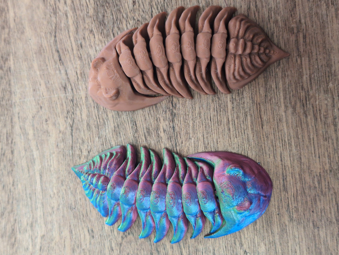 3D Printed Trilobite