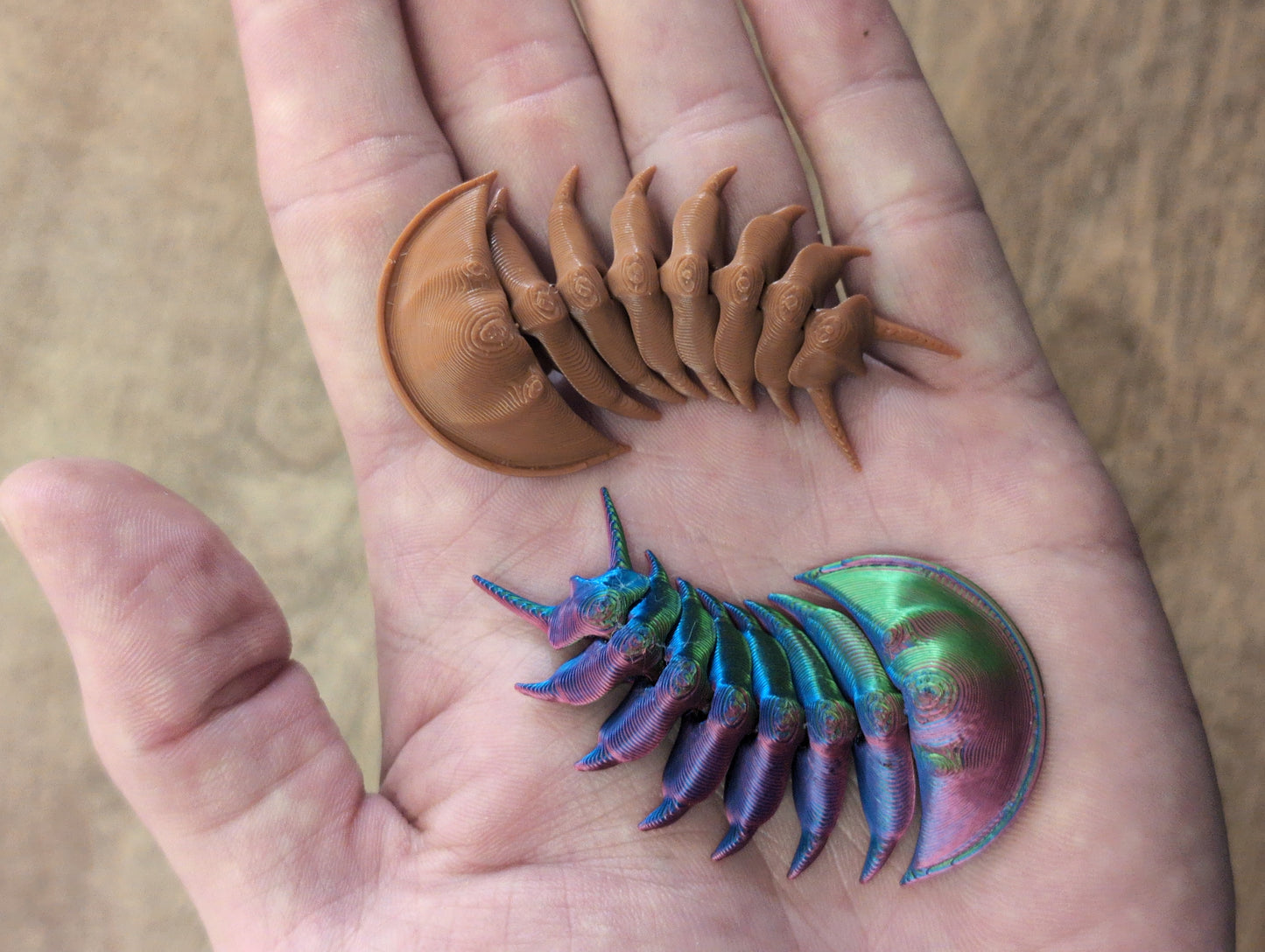 3D Printed Trilobite