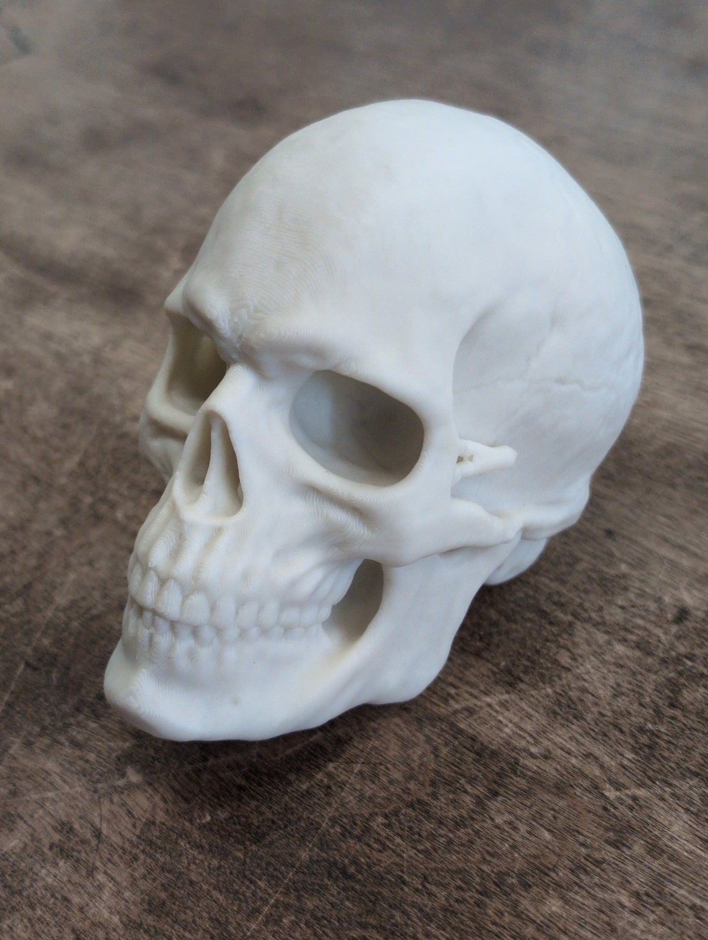 In-house 3D Print Anatomical Models