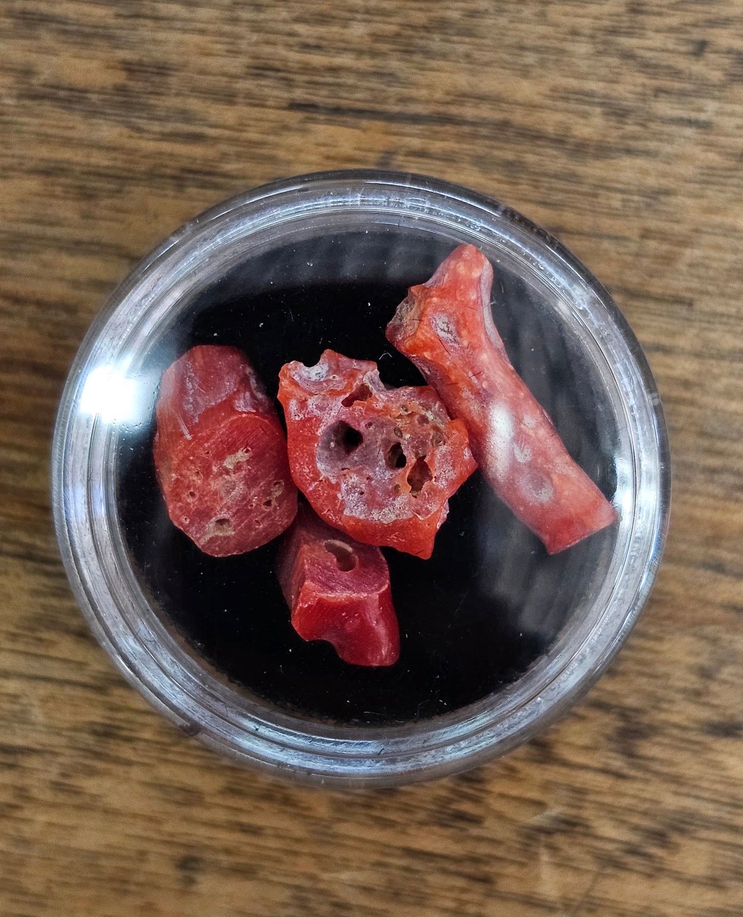 Red Coral Chunks
