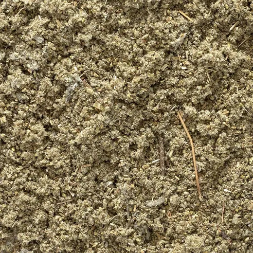 Sage Leaf Rubbed Organic