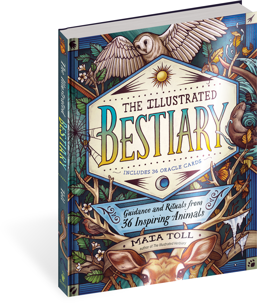 The Illustrated Bestiary Guidance and Rituals from 36 Inspiring Animals