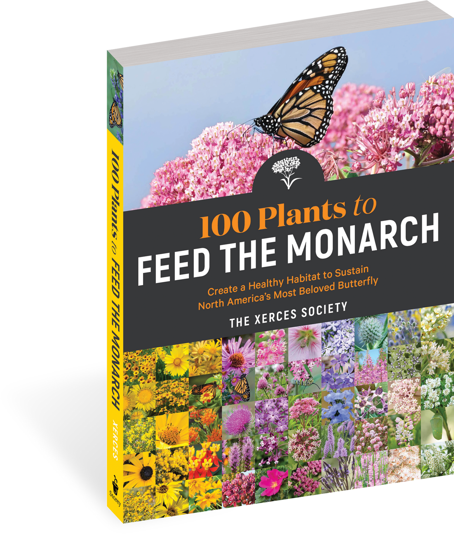100 Plants to Feed the Monarch Create a Healthy Habitat to Sustain North America's Most Beloved Butterfly