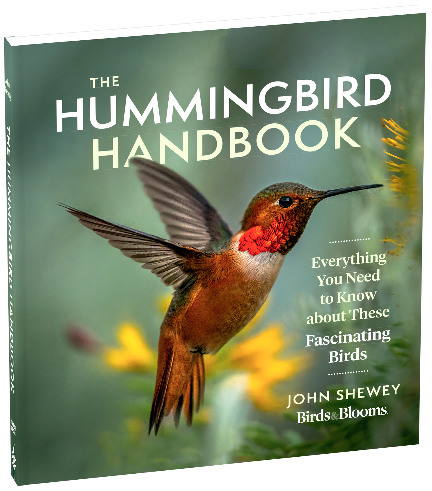 The Hummingbird Handbook Everything You Need to Know about These Fascinating Birds