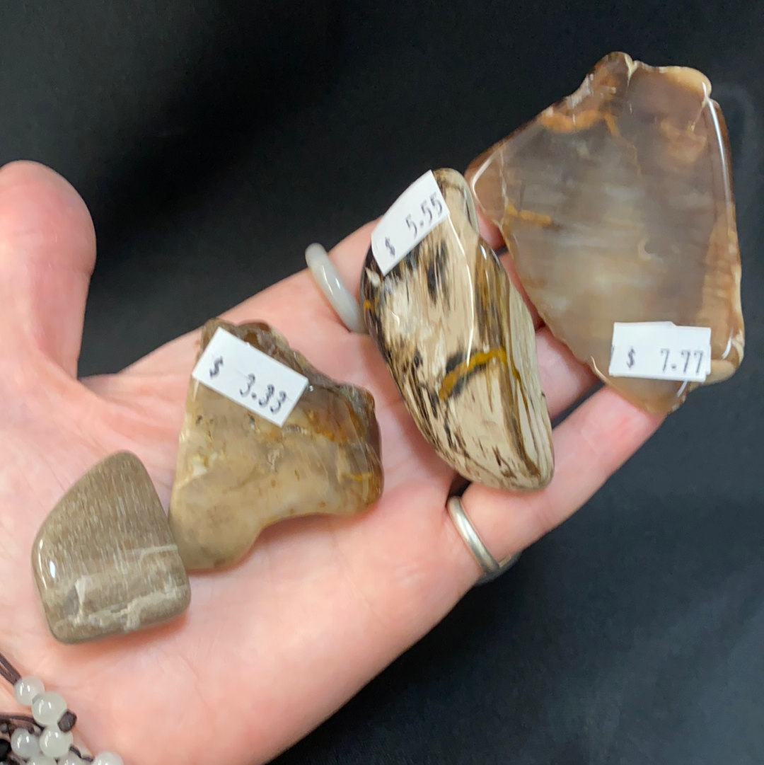 Petrified Wood Tumbled