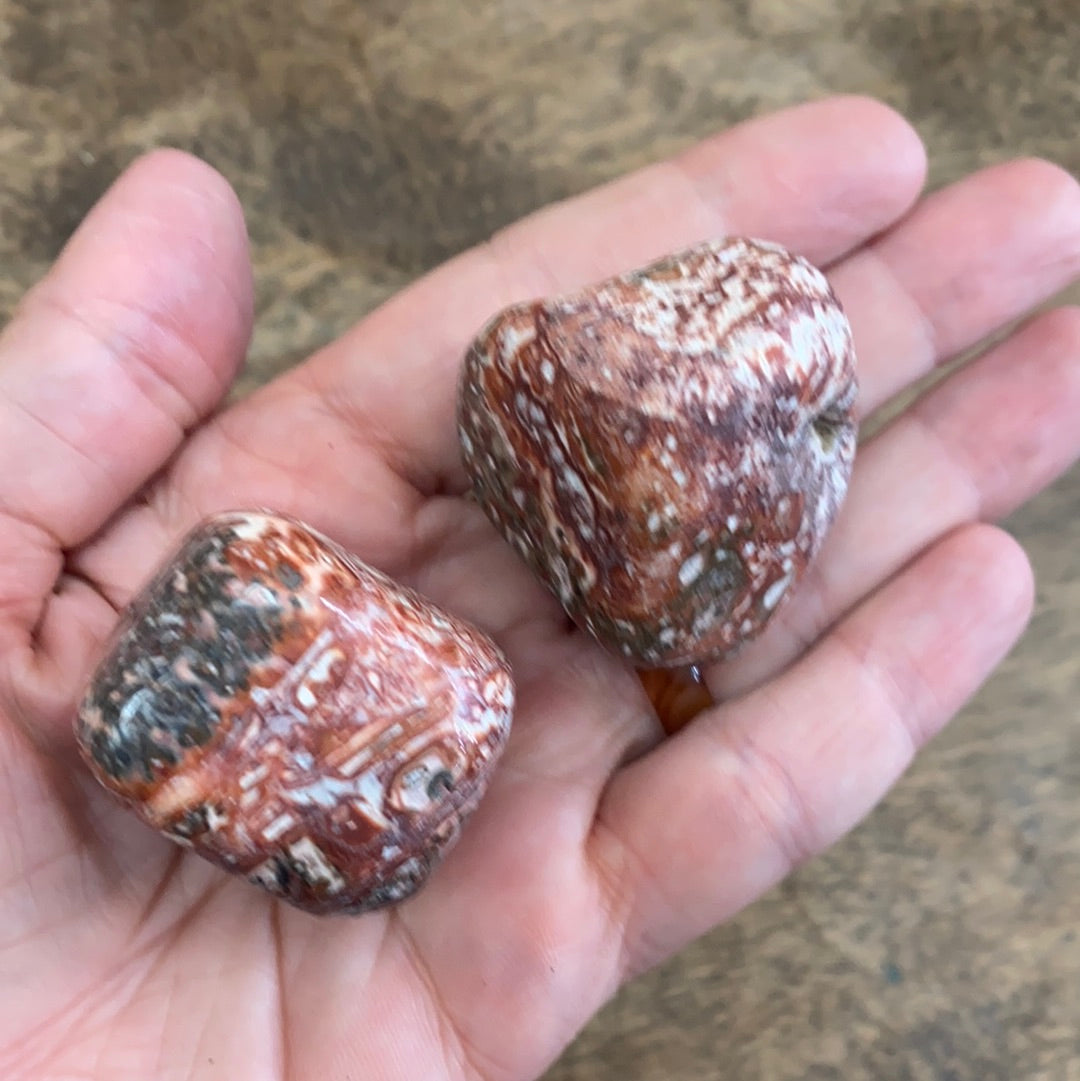 Leopard Skin Jasper Tumbled