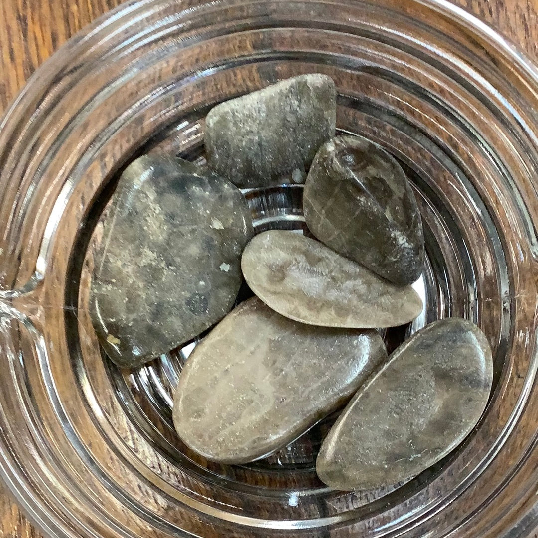 Petoskey Stone