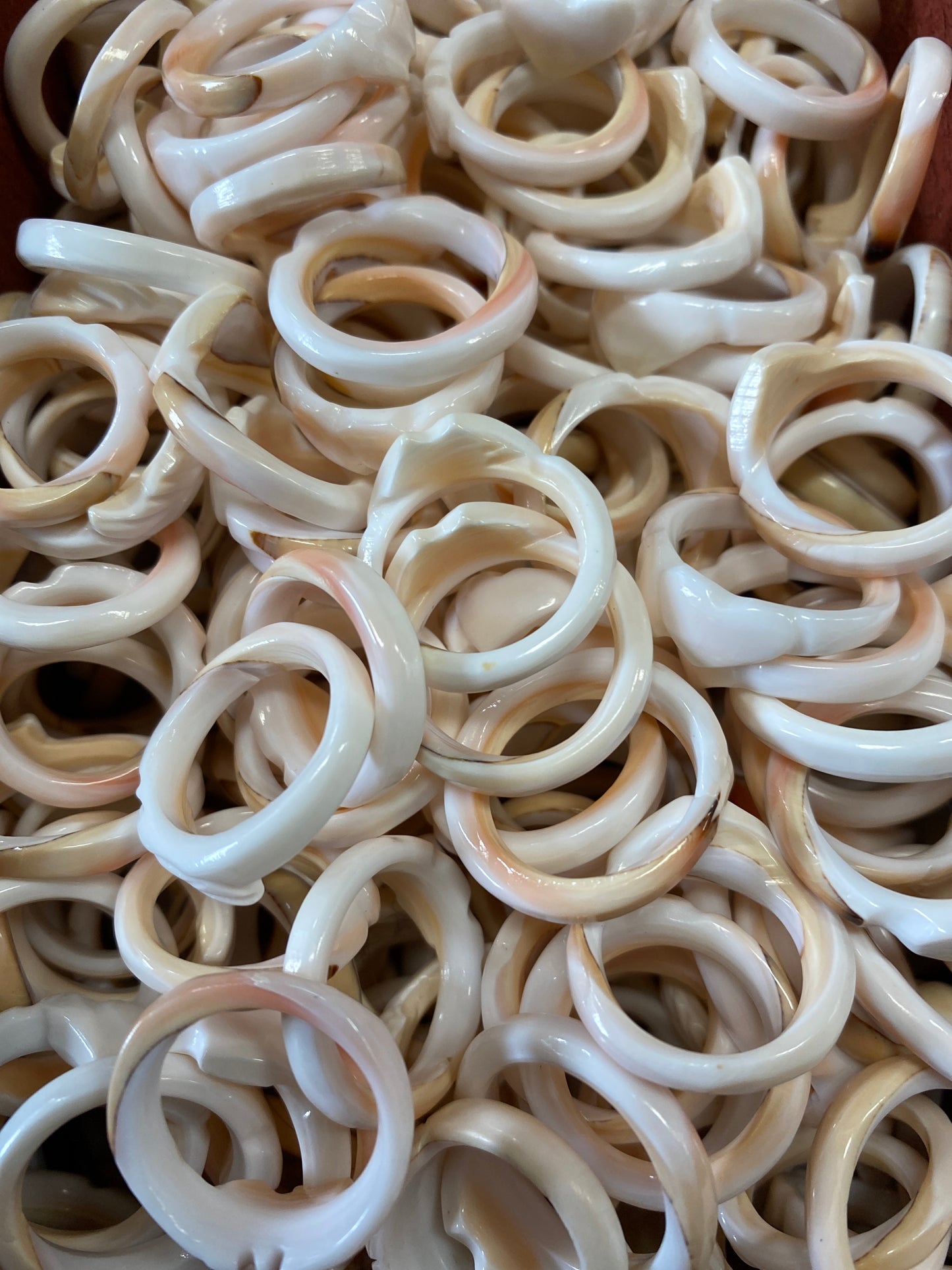 Shell Ring