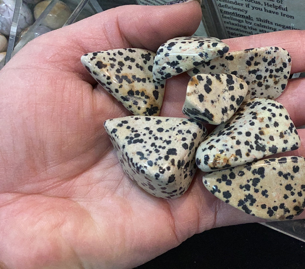 Dalmatian Jasper Tumbled