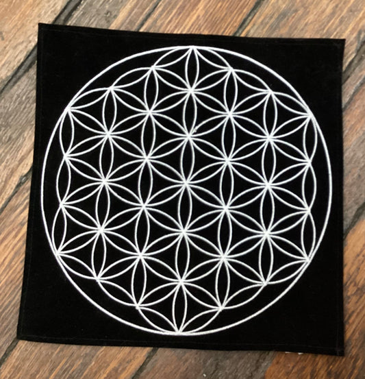 Grid cloth embroidered