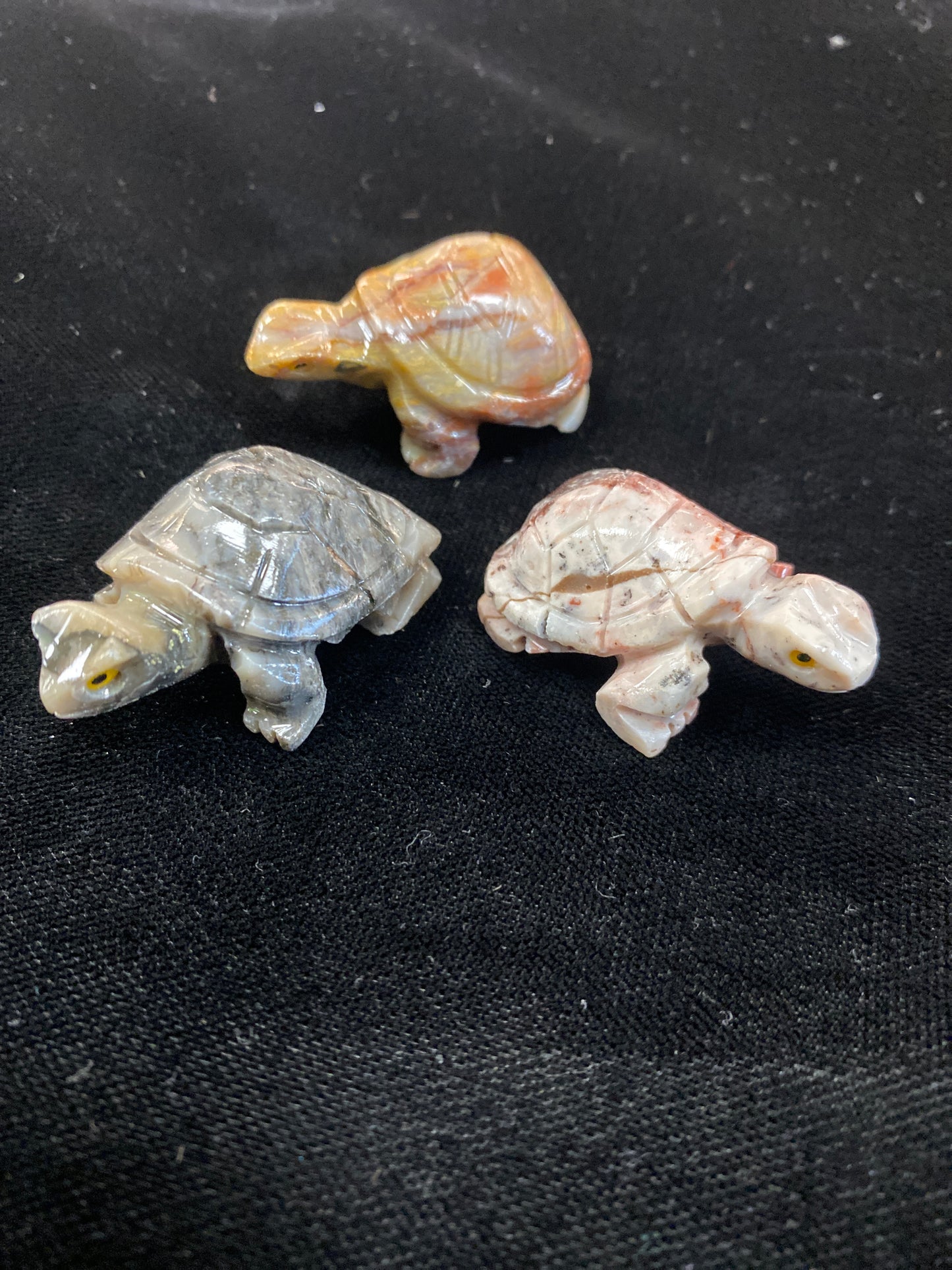 Dolomite Tortoise Turtle Power Animal