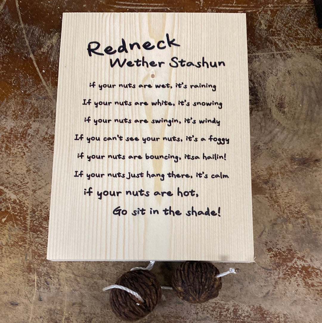 Redneck Wether Stashun (weather station)