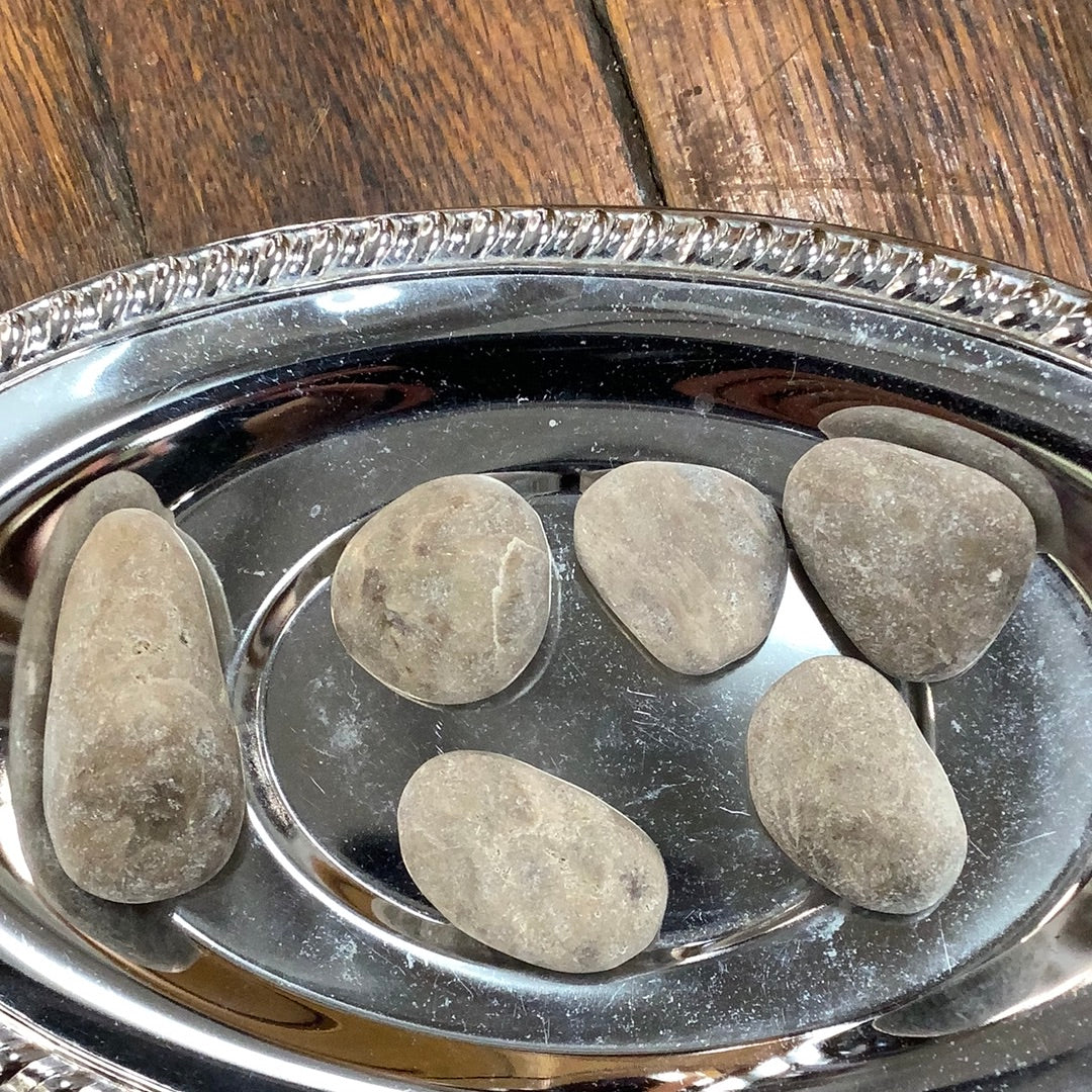 Petoskey Stone