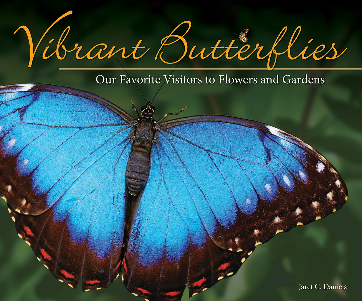 Vibrant Butterflies Our Favorite Visitors to Flowers and Gardens