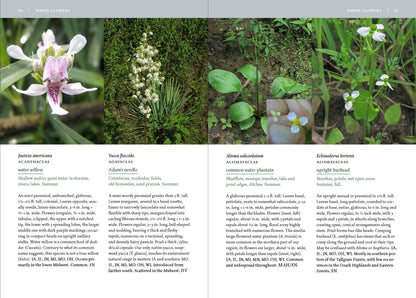 Wildflowers of the Midwest