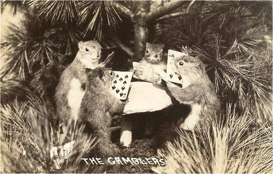 Sticker GB-21 Gambling Squirrels