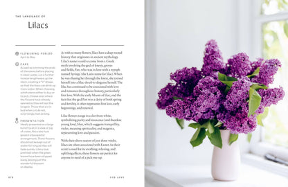 Healing Power of Flowers by Claire Bowen