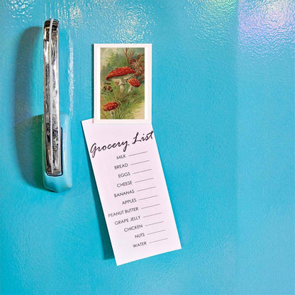 Magnet PL-78 Amanita Muscaria Mushroom