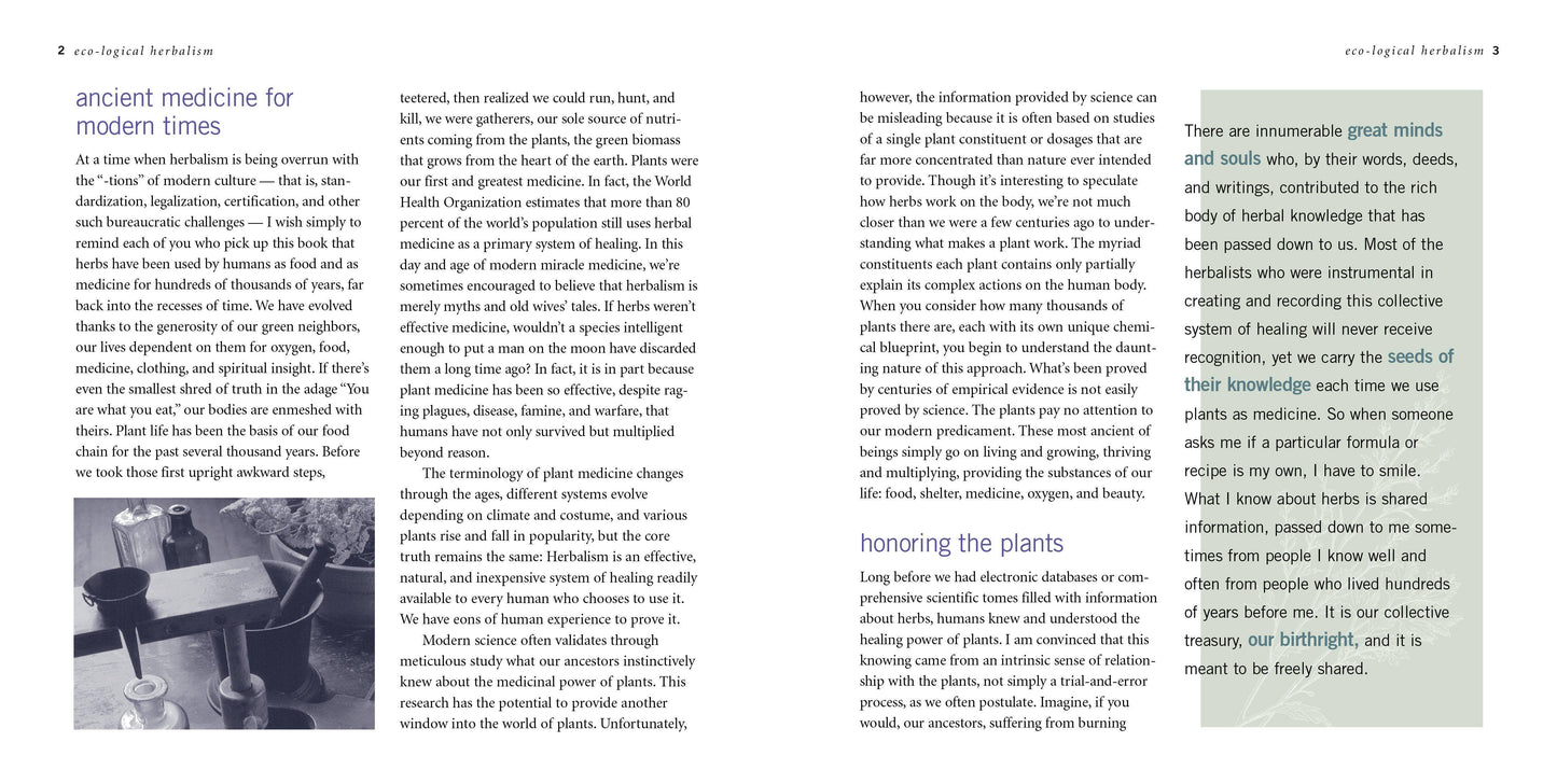 Rosemary Gladstar's Herbal Recipes For Vibrant Health